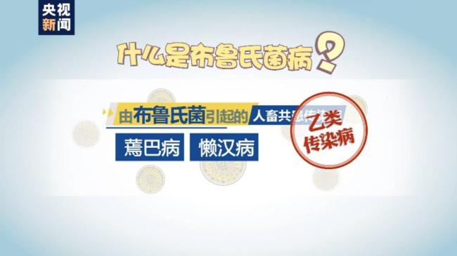 網(wǎng)購(gòu)羊初乳得布病 醫(yī)生：或引發(fā)終身關(guān)節(jié)損傷……
