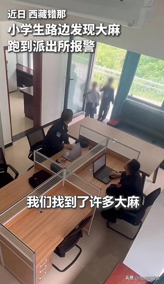 小學(xué)生識別出大麻及時報警,！