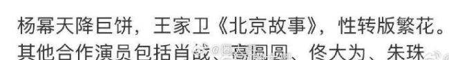 杨幂王家卫合作《北京故事》，肖战高圆圆朱珠加盟
