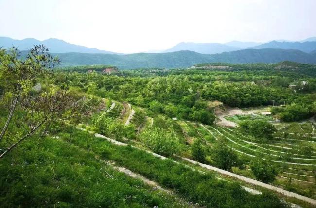 北京：五大流域水土流失面積均下降 水土保持率持續(xù)提升