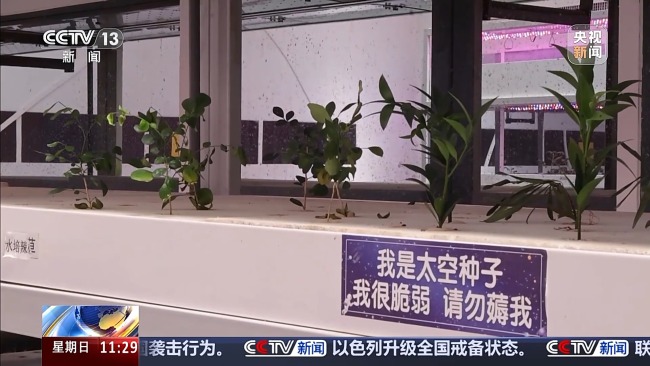 火星1號基地！“星際穿越”感拉滿了