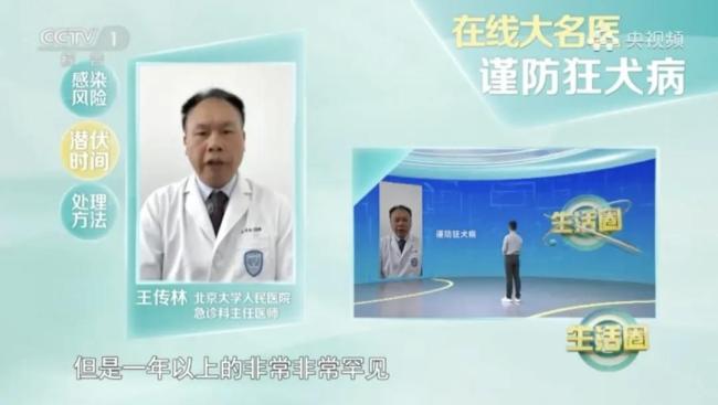 被貓狗抓咬傷后應(yīng)及時就醫(yī)