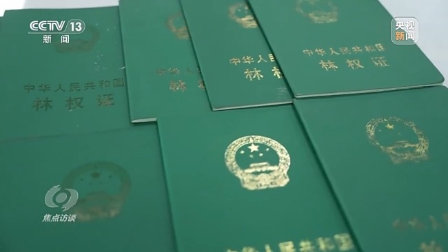 焦點(diǎn)訪談丨為有源頭活水來