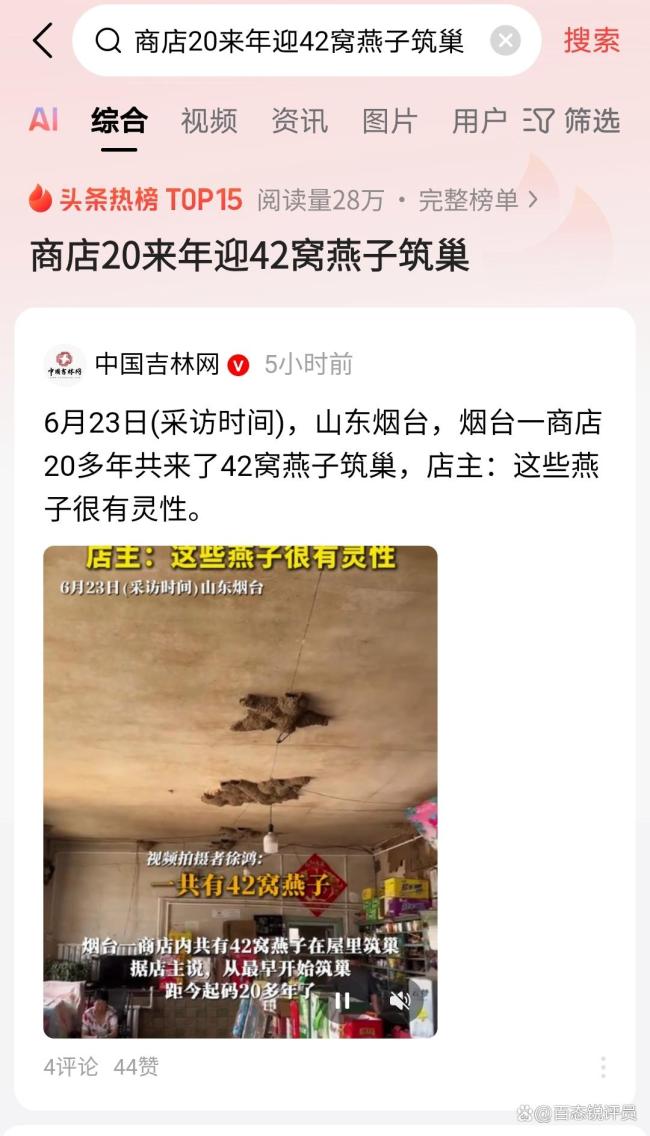 一商店20多年共来了42窝燕子筑巢 人燕和谐引关注
