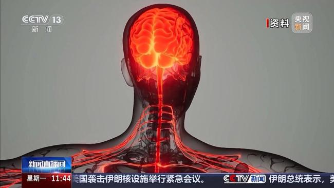 警方破获“上头电子烟”新型毒品案 团伙年轻化趋势明显