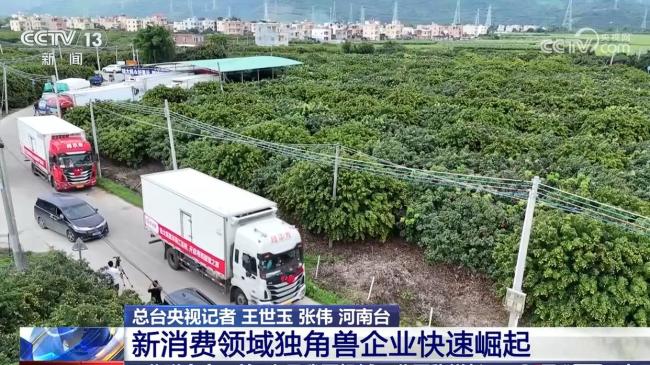 揭秘中國獨角獸企業(yè)成長破圈秘訣 政策紅利助力創(chuàng)新突破