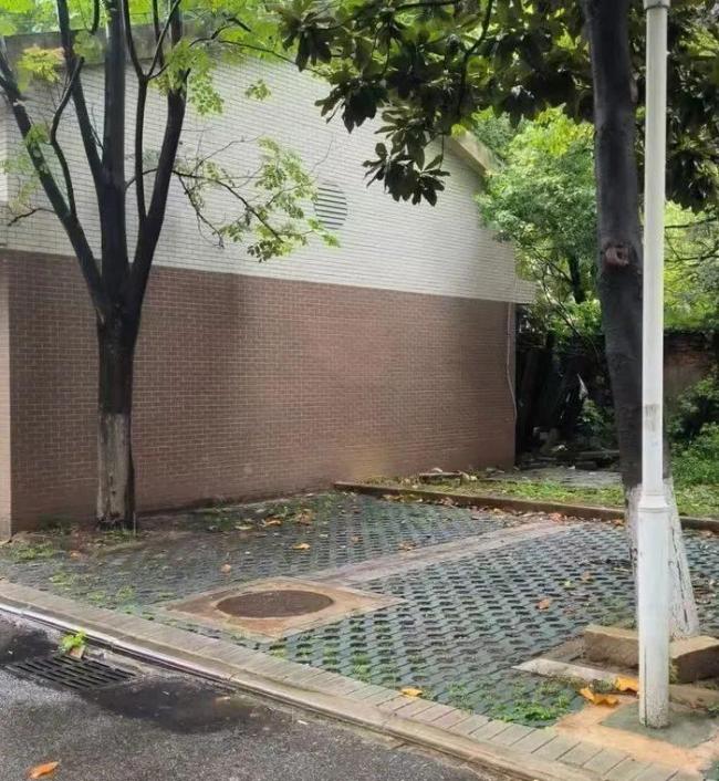 大學(xué)副教授遭精神病殺害背后 侵權(quán)責(zé)任爭議再起