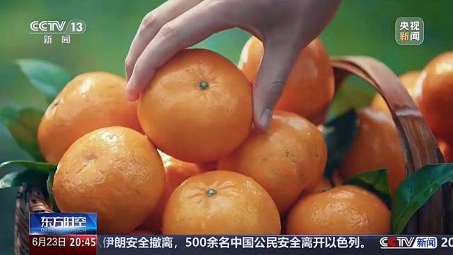 中国独角兽企业的破圈秘诀 政策红利与科技硬实力共驱