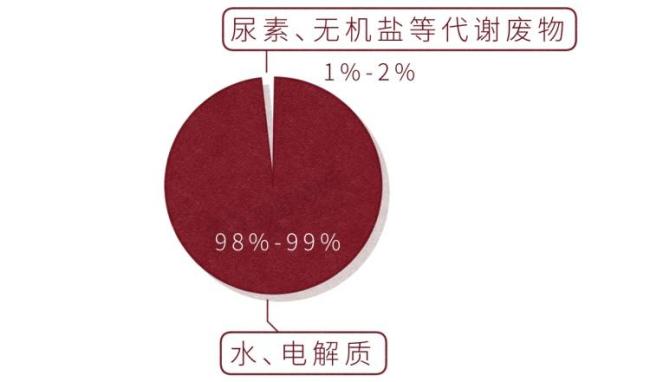愛出汗和不出汗哪種人更健康 探討出汗多與少的真相