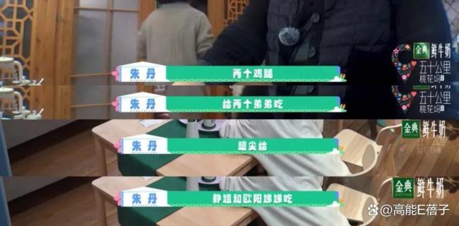 朱丹的真誠與局限