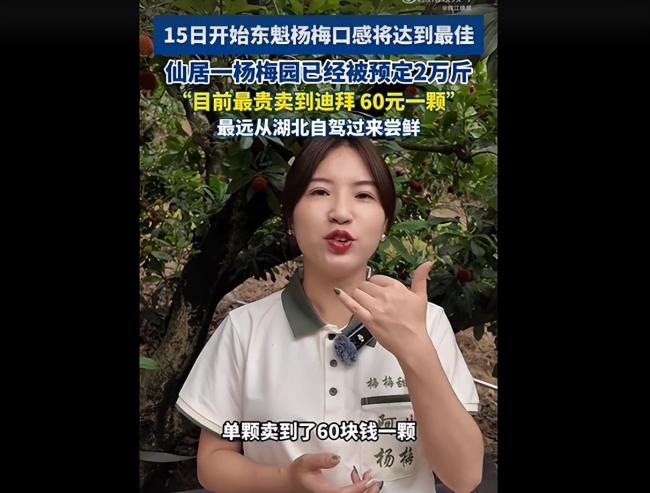 荔枝60一斤卖给迪拜土豪 中国水果逆袭国际