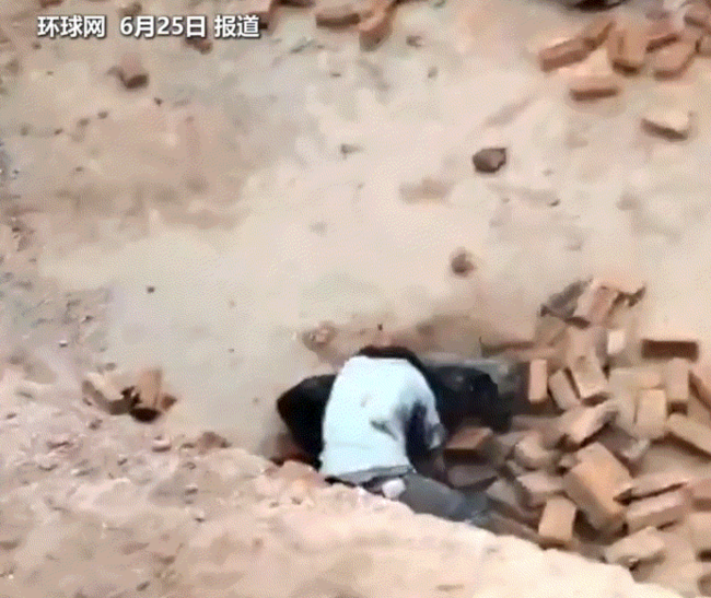 實(shí)拍印度男子突遇黑豹襲擊村民幫忙