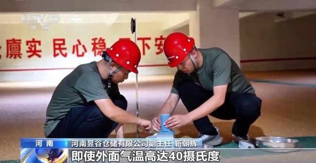“黑科技”升级粮食“住”进好房子 智能仓储守护粮食安全