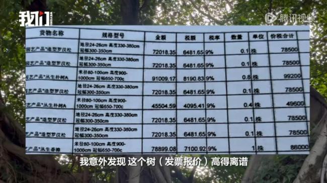 一公園被舉報采購天價樹 綠化項目引爭議