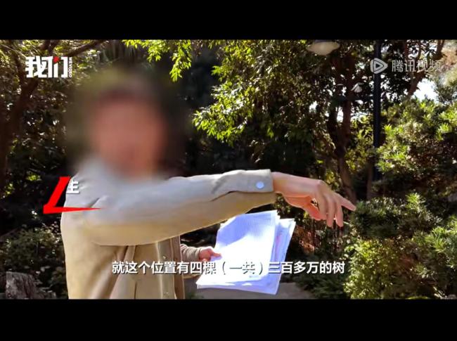 公園被舉報(bào)采購(gòu)天價(jià)樹(shù)每棵近80萬(wàn)