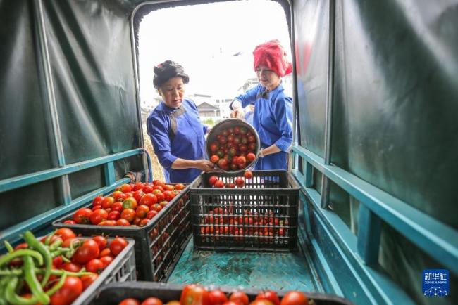 榕江村民帶菜刀集合為救援人員做飯