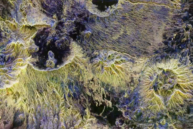 歐航局公布觀測森林碳儲量衛(wèi)星發(fā)回圖像