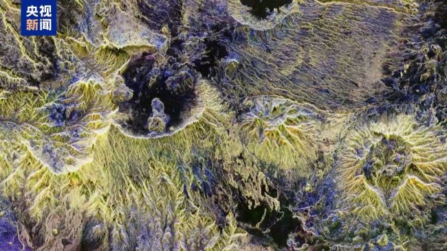 歐航局公布觀測森林碳儲量衛(wèi)星發(fā)回圖像