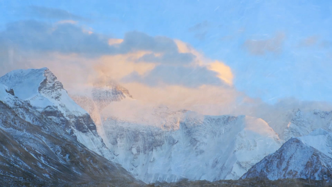 追光的你|這封回信 寄給他們 囑托全黨