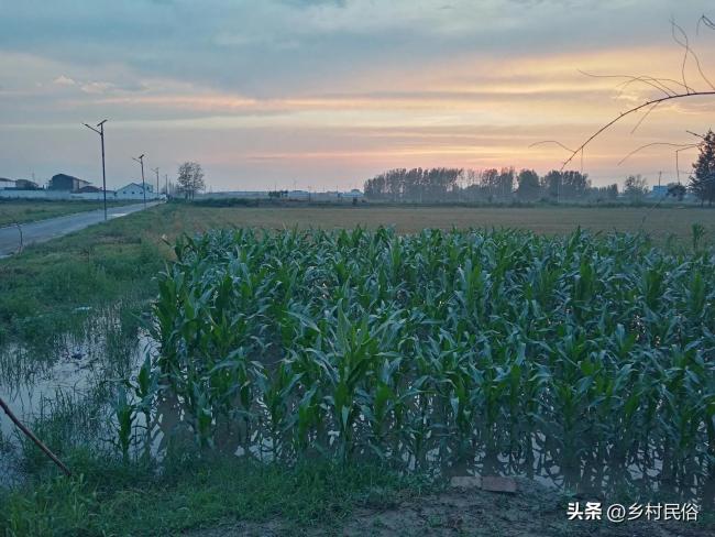 “伏天旱不旱，六月六早看天”,，今年伏天會(huì)旱嗎,？