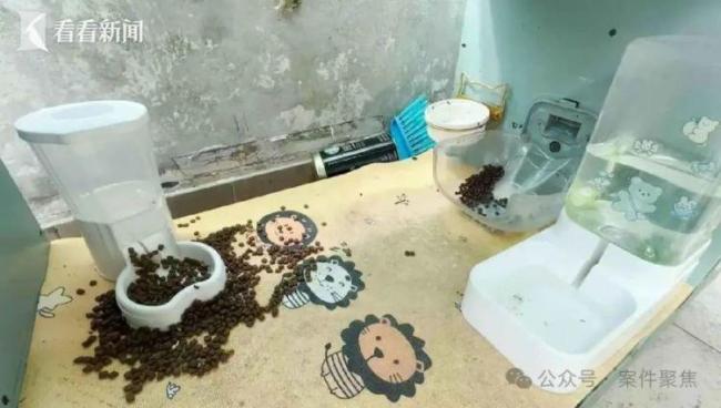 上海很多小区出现了智能猫屋 科学管理引热议