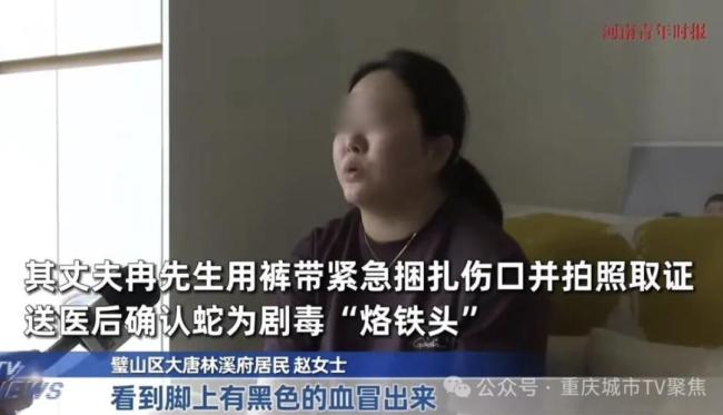 女子出電梯被盤(pán)踞的毒蛇咬傷 丈夫“教科書(shū)式”急救