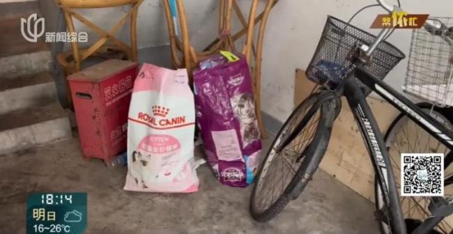 上海很多小區(qū)出現(xiàn)了智能貓屋