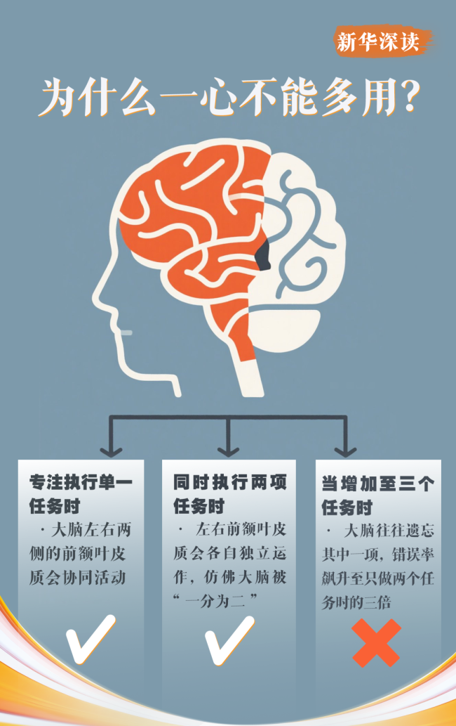为何刷手机停不下来 大脑超载的警示