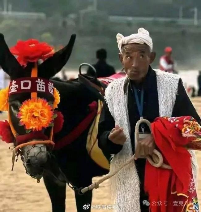 景區(qū)因游客投訴為驢戴上“遮羞套” 荒誕背后的管理反思
