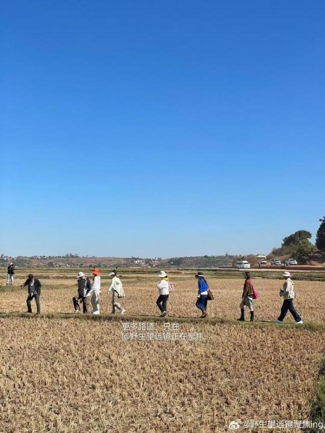 大明星怎么跑去种地了，花少是懂变形计的-高端白酒加速走向大众 消费场景转型