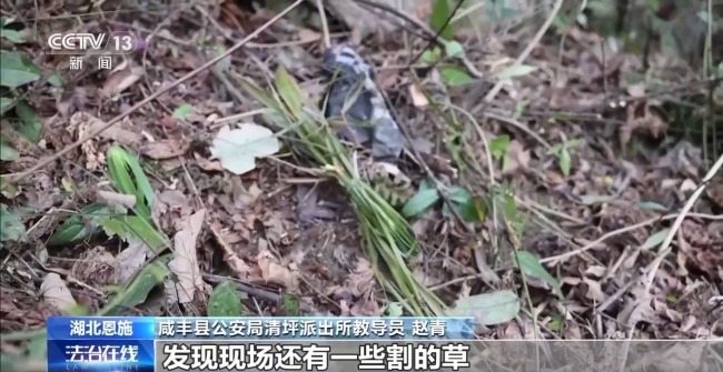 吃野草喝河水苦熬6天 阿爾茨海默病老人深山獲救