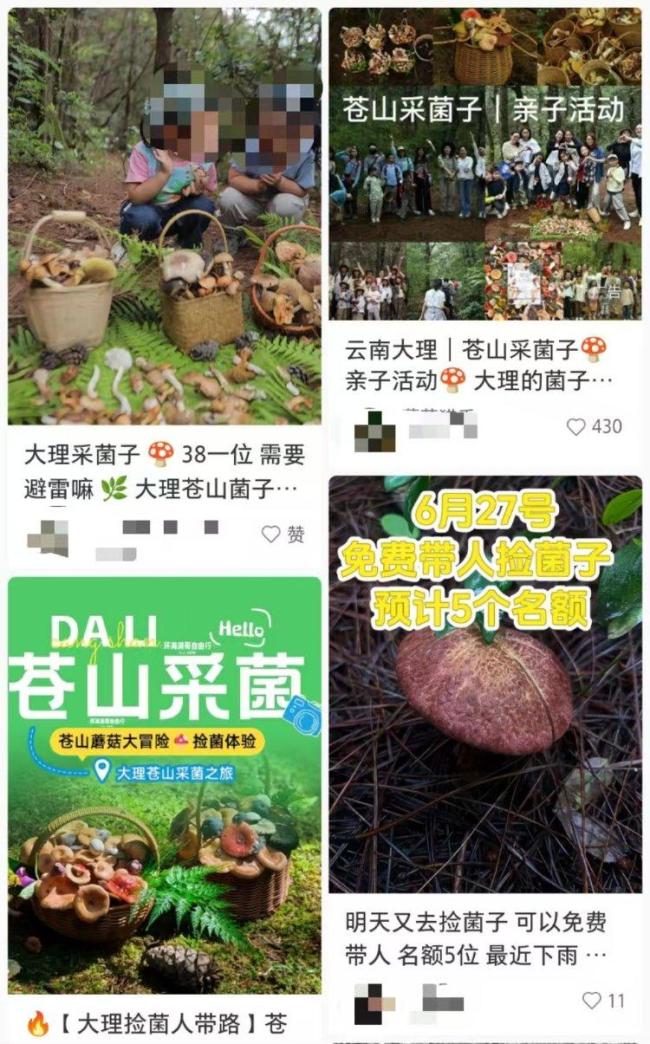 當(dāng)?shù)鼗貞?yīng)蒼山下