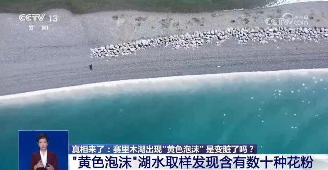 赛里木湖上的黄色泡沫原来是花粉海 独特景观揭秘