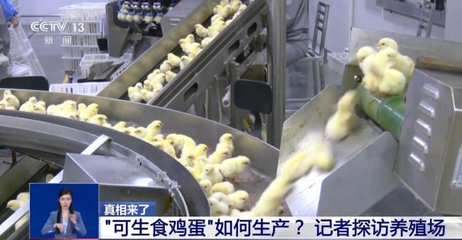 專家稱無(wú)菌蛋并非無(wú)細(xì)菌 商家宣傳需謹(jǐn)慎