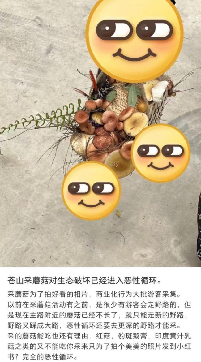 当地回应苍山下