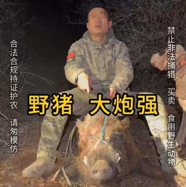杀野猪让人流连忘返 猎人与狗的“战斗”直播