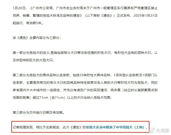 業(yè)內(nèi)人士稱解禁中華田園犬是趨勢 多地土狗終獲身份