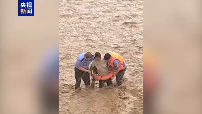 突降暴雨女子被困河中 生死瞬间民警紧急救援