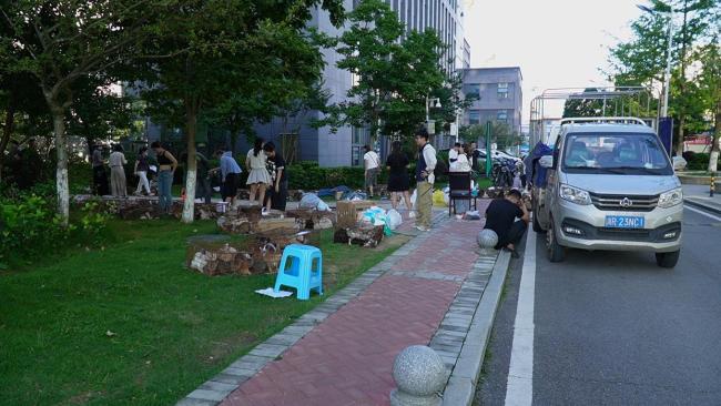 400多只非法運送小貓被截獲 愛心人士救助行動