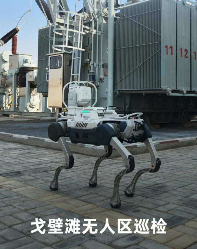 投资人称挤破脑袋也要上机器人牌桌 资本狂热押注具身智能