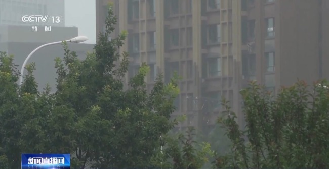 大连一夜发生7649次闪电 遇到雷电要记住这四个字