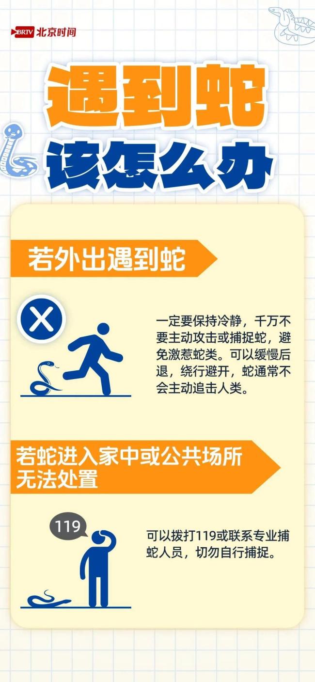 遇蛇不要慌 牢记“四要”“四不要”