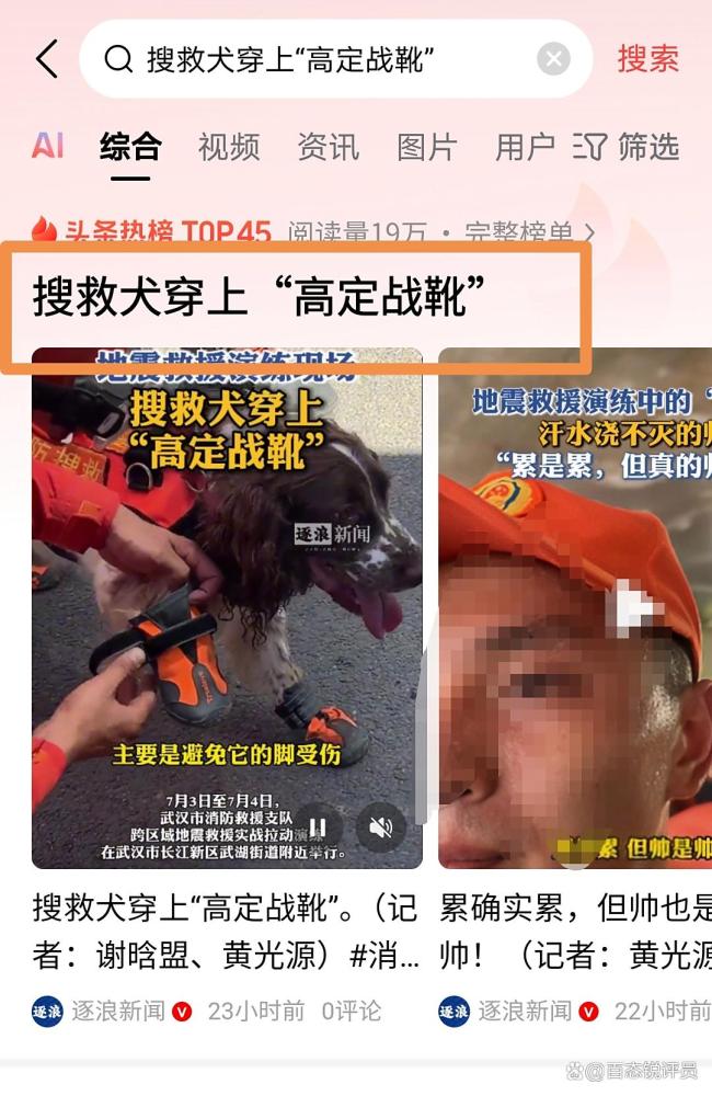 搜救犬穿上“高定战靴” 守护无言战友