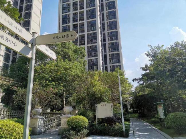 28岁女生辞职改行被全家托举 梦想与温情同行
