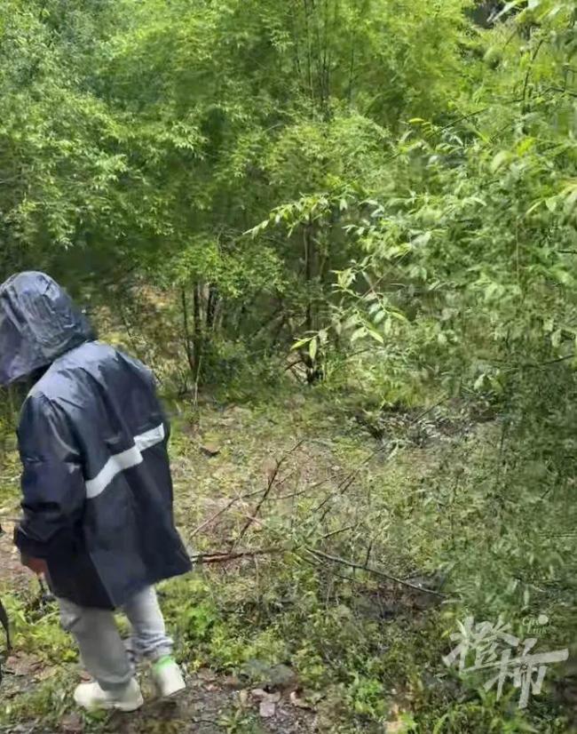 3對母女游川西墜崖家屬稱有收到線索 搜救仍在進(jìn)行中