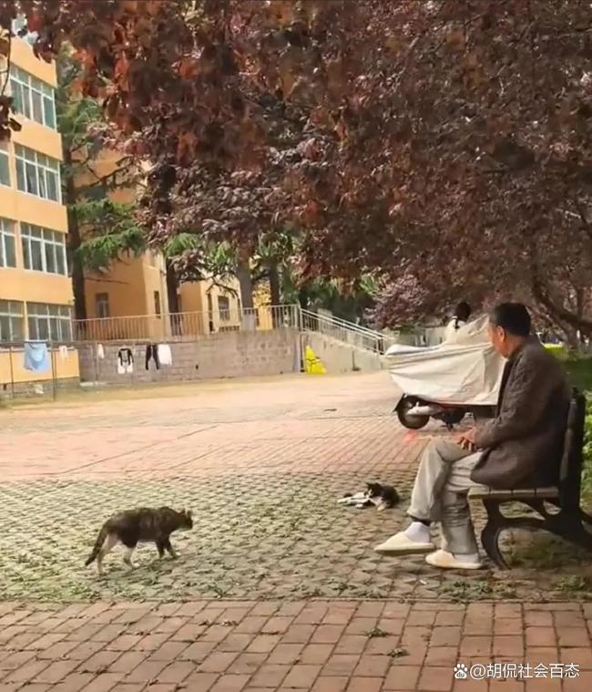 學生在宿管大爺生前屋外放鮮花悼念 高溫下的悲劇引發(fā)深思