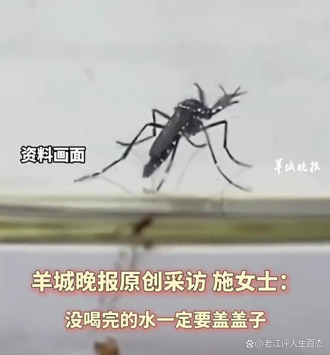 女子喝半杯隔夜水后發(fā)現(xiàn)蚊子卵 夏日飲水需謹慎