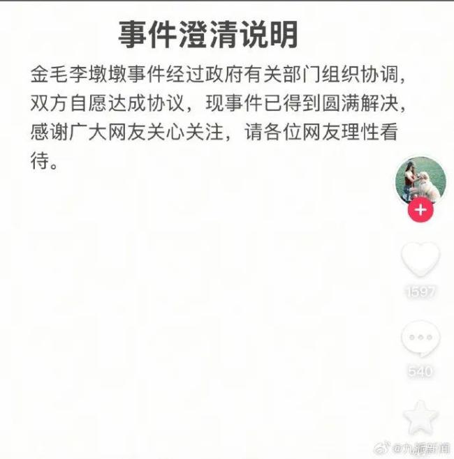 主人稱金毛被打死事件已圓滿解決