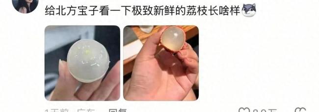 廣西人證明荔枝確實是透明的
