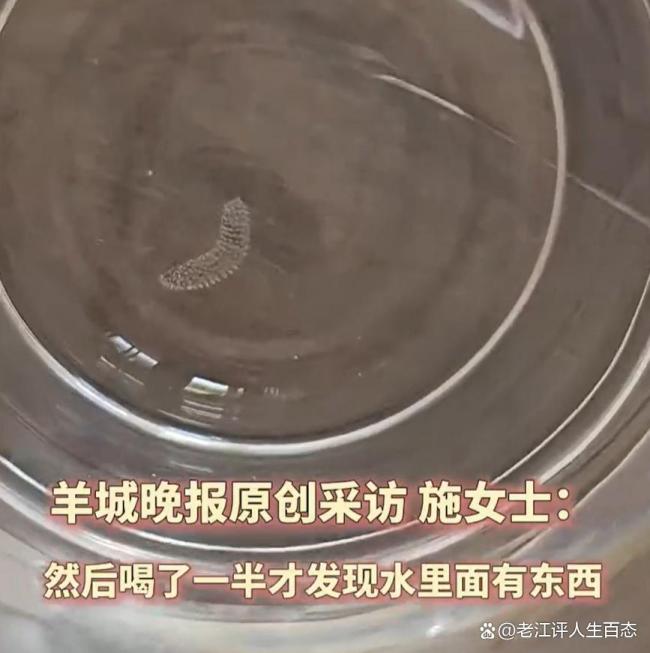 女子喝半杯隔夜水后發(fā)現(xiàn)蚊子卵 夏日飲水需謹慎